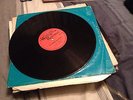 Royal Rasses - Ain't nobody here but me. - Warrior Records - 12