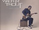 Walter Trout - Blues For The Modern Daze (2-LP) - - Vinyl Blues
