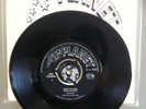 PLANET LABEL Dani Sheridan Guess I'm Dumb 7