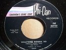 1965 Ikettes Whatcha Gonna Do 45, scarce