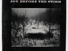 JOY BEFORE THE STORM 