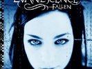Evanescence - Fallen Vinyl LP Neu + OVP Immortal Bring me to Life OUT OF PRINT