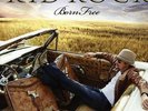 kid rock Born Free (2LP W/Bonus CD) ..free shipping..vinyl