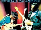 In Session - Albert & Stevie Ray Vaughan King (2011, Vinyl NEW)