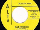 POPCORN R&B MOVER PEYTON PARK Blue norter ALTA LISTEN