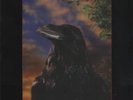 Stranglers The Raven - 3-D Sleeve vinyl LP album record UK UAG30262