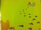 Mother Tuckers Yellow Duck - Home Grown Stuff Vinyl Promo LP - Original RARE NM-