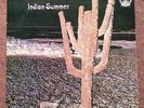 INDIAN SUMMER    NEON    RCA NE 3   VINYL LP