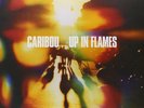 CARIBOU - UP IN FLAMES  VINYL LP + CD NEW+