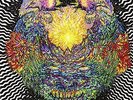 MEATBODIES NEW VINYL