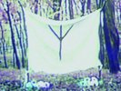 WHITE RING - BLACK EARTH THAT MADE ME NEW VINYL