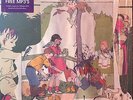 ANIMAL COLLECTIVE FEELS FAT-SP11LP with MP3's sticker Vinyl 2LP Record OOP