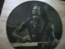 Metallica James Hatfield picture disc record