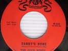 FOUR WINDS Daddy's Home TEENAGE cover  Shep Limeliters Doo-wop 45 e120