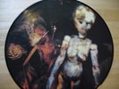 Nirvana lithium Curmudgon been a son picture disc record DGCTP 9