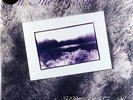 In The Woods  Heart Of The Ages(Limited Edition 2 x 180g Purple vinyl)