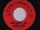 JUNIOR LEWIS: Hear What I Say 45 Soul