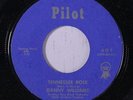 DANNY WILLIAMS: Dreamer / Tennessee Rose 45 (Eddie Cochran prod.) rare Rockabil