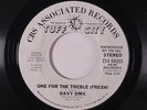 DAVY DMX: One For The Treble (fresh) / Same 45 (dj) Rap/Hip-Hop
