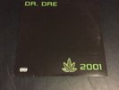 DR. DRE THE CHRONIC 2001 2X LP RARE RECORD VINYL