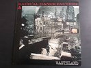 Radical Dance Faction - Wasteland - Vinyl LP Album - RDF SKA / DUB PUNK