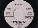 CHIC-LETS: I Want You To Be My Boyfriend / Don't Goof On Me 45 (dj) Oldies