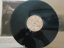 PIXIES - Surfer Rosa   VINYL LP GOLD INNER SLEEVE