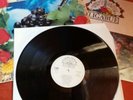 Ligabue - lambrusco coltelli rose & pop corn LP vinil come nuovo RARO