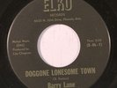 BARRY LANE: Doggone Lonesome Town / I Don't Want You 45 rare Rockabilly
