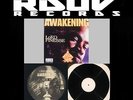 LORD FINESSE - THE AWAKENING - 2 LP VINYL 12