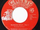 SUNRISE MOVEMENT Running Wild 45 on Ghetto Productions Rare Funk
