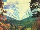 Innerspeaker - TAME IMPALA [2x LP]