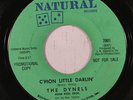DYNELS: C'mon Little Darlin' / Just A Face In The Crowd 45 (dj) rare Soul