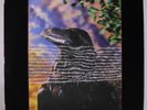 STRANGLERS: The Raven LP (UK, laminated 3D cover, inner sleeve, sl corner bend)