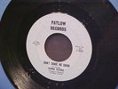 RONNIE PUTIRKA 45 Don't Shake Me Down PATLOW Detroit mod stomper GARAGE  ROCK