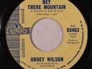 OBREY WILSON: Hey There Mountain / Say It Again 45 (dj, Phil Spector production
