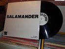 SALAMANDER SELF TITLED PSYCH,PROG,HARD ROCK RARE  LP RECORD