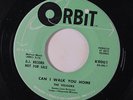 VELOURS: Can I Walk You Home / Remember 45 (dj) Vocal Groups