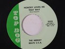 MERSEY BEATS U.S.A.: Nobody Loves Me That Way / 30 Second Lover 45 (1967 Shivel