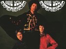Jimi Hendrix - Are You Experienced 180gram Vinyl LP Mono Edition Brand New
