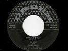 WILD ROCKABILLY-RED BERRY & THE BEL RAVES-DREAM 1001-WHAT A DOLLY/HOT ROD