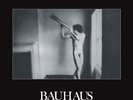 BAUHAUS In the Flat Field : 4ad Ep (Remastered) LIMITED 2LP VINYL