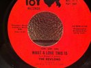 Northern Soul The Revlons - What A Live This Is