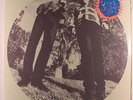 TY SEGALL & WHITE FENCE: Hair LP Sealed Rock & Pop