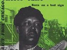Born On A Bad Sign - Magic Slim (2015, Vinyl NEUF)