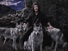 Wolflight (2LP+CD) - HACKETT STEVE [3x LP]