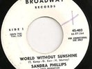 RARE N.Soul - SANDRA PHILLIPS - World without sunshine - US BROADWAY WLP EX