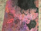 WINDFLOWER R-2827 - Rare obscure private folk psych from Alaska Lp Record