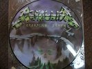 METALLICA:CREEPING TERROR PICTURE DISC EP. KUT#112.