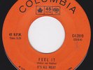 Canada  Garage Punk Psych 45 - IT'S  ALL MEAT - Feel It / I Need Some Kind ...